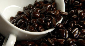 Sumatra Aceh French